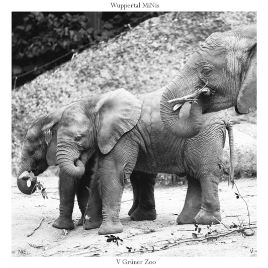 V Grüner Zoo